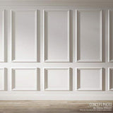 Ekena Millwork PNL22X09LE 21 5/8-Inch W x 8 5/8-Inch H x 5/8-Inch P Legacy Rectangle Wall/Door Panel