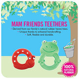 MAM 'FriendsÂ Collection Teething Toys, Max The Frog 100% Natural Rubber Developmental Teether Toys, Baby Toys, 4+ Months, Unisex, 1-Count