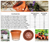Bloem Terra Pot Planter 12" Living Green