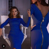 Long sleeve sexy dress with full zipper on the back (Multiple Colors Available)